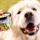 Ben & Jerry’s debuts Doggie Desserts ice cream for pets